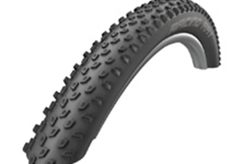 Racing Ray Performance 29 Black 29x2.25-1